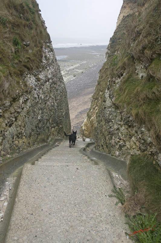 Cjp_2010_04_15_072121 (2).jpg